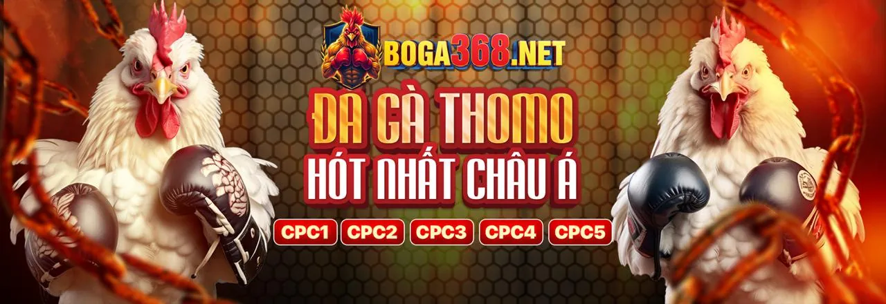 Tải ứng dụng 888b Info trên điện thoại thông minh