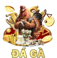 Đá gà Mỹ Peru